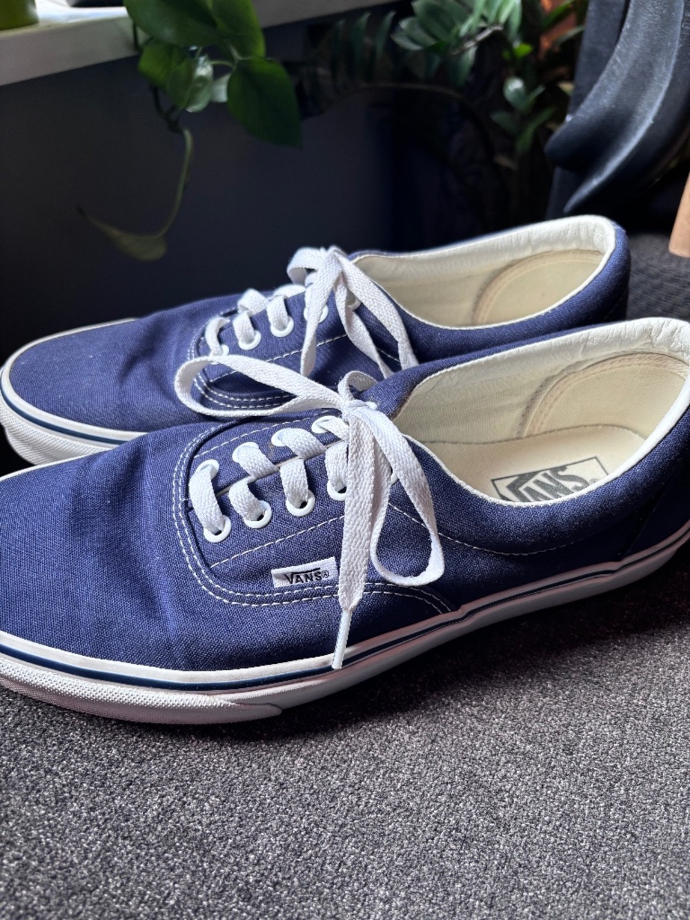 Vans navy sneakers